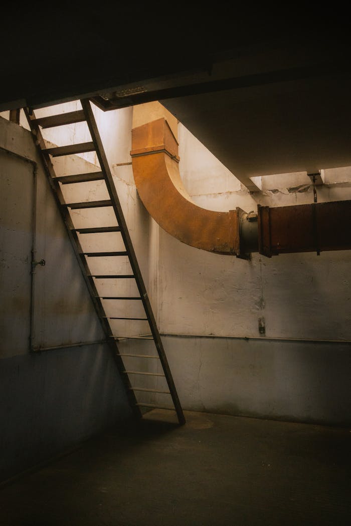 Dimly lit industrial basement featuring a metal ladder and a large rusted pipe.